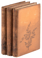 Marion Fay: A Novel
