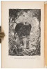 The Jungle Book [with] The Second Jungle Book - 2
