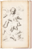 Ars Pictoria: or an academy treating of drawing, painting, limning, etching. To which are added XXXI. copper plates, expressing the choicest, nearest, and most exact grounds and rules of symmetry. Collected out of the most eminent Italian, German, and Net - 5