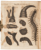 Acta Eruditorum Anno MDCLXXXIX - 4