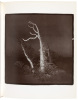 [Richard Misrach 1979] - 7