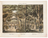 Album Mexicano. Colecci&oacute;n de paisajes, monumentos, costumbres y ciudades principales de La Republica. - 3