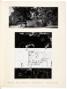 A.L. Aydelott and Associates Architects 1950-1954 - 7