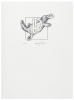 An Odd Bestiary, Or a Compendium of Instructive and Entertaining Descriptions of Animals, Culled From Five Centuries of Travelers' Accounts, Natural Histories, Zoologies, Etc., By Authors Famous and Obscure, Arranged as an Abecedary. - 5
