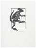 An Odd Bestiary, Or a Compendium of Instructive and Entertaining Descriptions of Animals, Culled From Five Centuries of Travelers' Accounts, Natural Histories, Zoologies, Etc., By Authors Famous and Obscure, Arranged as an Abecedary. - 7