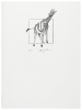 An Odd Bestiary, Or a Compendium of Instructive and Entertaining Descriptions of Animals, Culled From Five Centuries of Travelers' Accounts, Natural Histories, Zoologies, Etc., By Authors Famous and Obscure, Arranged as an Abecedary. - 10