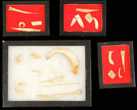 Lot of approx. 22 bone, dog tooth and shell artifacts