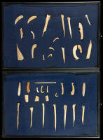 Lot of 2 framed sets of bone tools