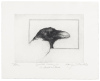 The Raven by Edgar Allan Poe: Etchings and Woodcuts by Alan James Robinson - 4