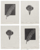 The Raven by Edgar Allan Poe: Etchings and Woodcuts by Alan James Robinson - 5