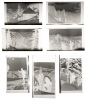 Collection of Ansel Adams Yosemite winter sport and recreation photographs for Donald Tresidder - 6