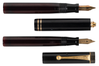 PARKER: Lot of Two Lucky Curve Eyedropper-Filler Fountain Pens