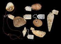 Lot of 7 Hawaiian tools made from shells, collected and identified by Leo Fortess