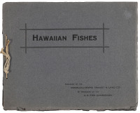 Hawaiian Fishes
