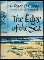 The Edge of the Sea