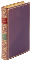 Marie Antoinette: The Portrait of an Average Woman