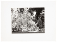 Holiday card with original Ansel Adams photograph