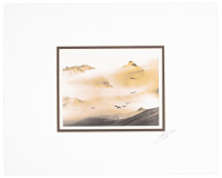 [Birds in Flight]