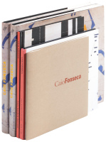 Five volumes on art by Caio Fonseca