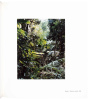 Thomas Struth: Photographs 1978-2010 - 3