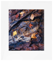 Leaves and Cliff Abstracction #1