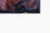 Leaves and Cliff Abstracction #1 - 2