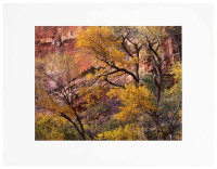 Zion National Park