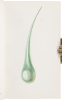 WITHDRAWN - Scientific Toys: Made for Amusement but Illustrating Some Important Principle - 4