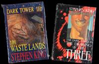 The Dark Tower II and III: The Drawing of the Three and The Wastelands