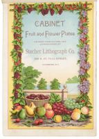 Cabinet Fruit and Flower Plates