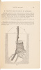 Second Annual Report of the Chief Executive Viticultural Officer to the Board of State Viticultural Commissioners, For the Year 1882-3 - 2