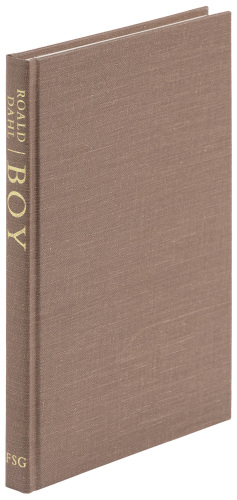 Boy: Tales of Childhood
