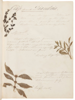 Nineteenth century botany manuscript with collection of specimens