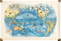 Pageant of the Pacific