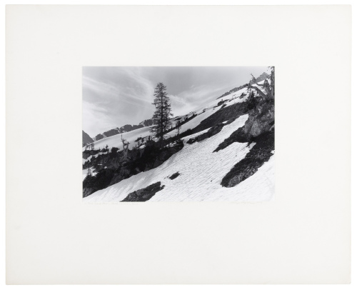 In Park Creek Pass &ndash; North Cascades, Wash.