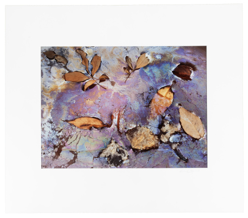 Leaves and Pool Abstraction #3