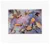 Leaves and Pool Abstraction #3