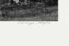 [Untitled] - 2