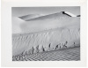 Fifty Photographs - 7