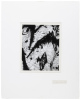 Birch Bark, 1968