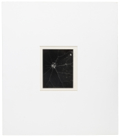 Leaf with Dewdrops, 1950