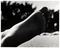 Foot