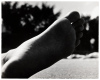 Foot
