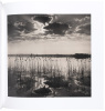 Fractal Dreams: Photographs from Two Decades - 4