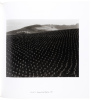 Edward Weston: Life Work. Photographs from the Collection of Judith G. Hochberg and Michael P. Mattis - 3