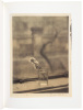 Sudek [with] Josef Sudek [and] Josef Sudek: Pigment Prints - 3