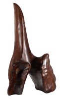 Untitled [Abstract Form]