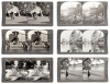 Stereographic Library: Tour of the World - 4
