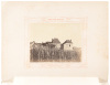 Les Grands Crus Bordelais - 5
