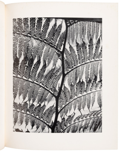 Brett Weston: Photographs